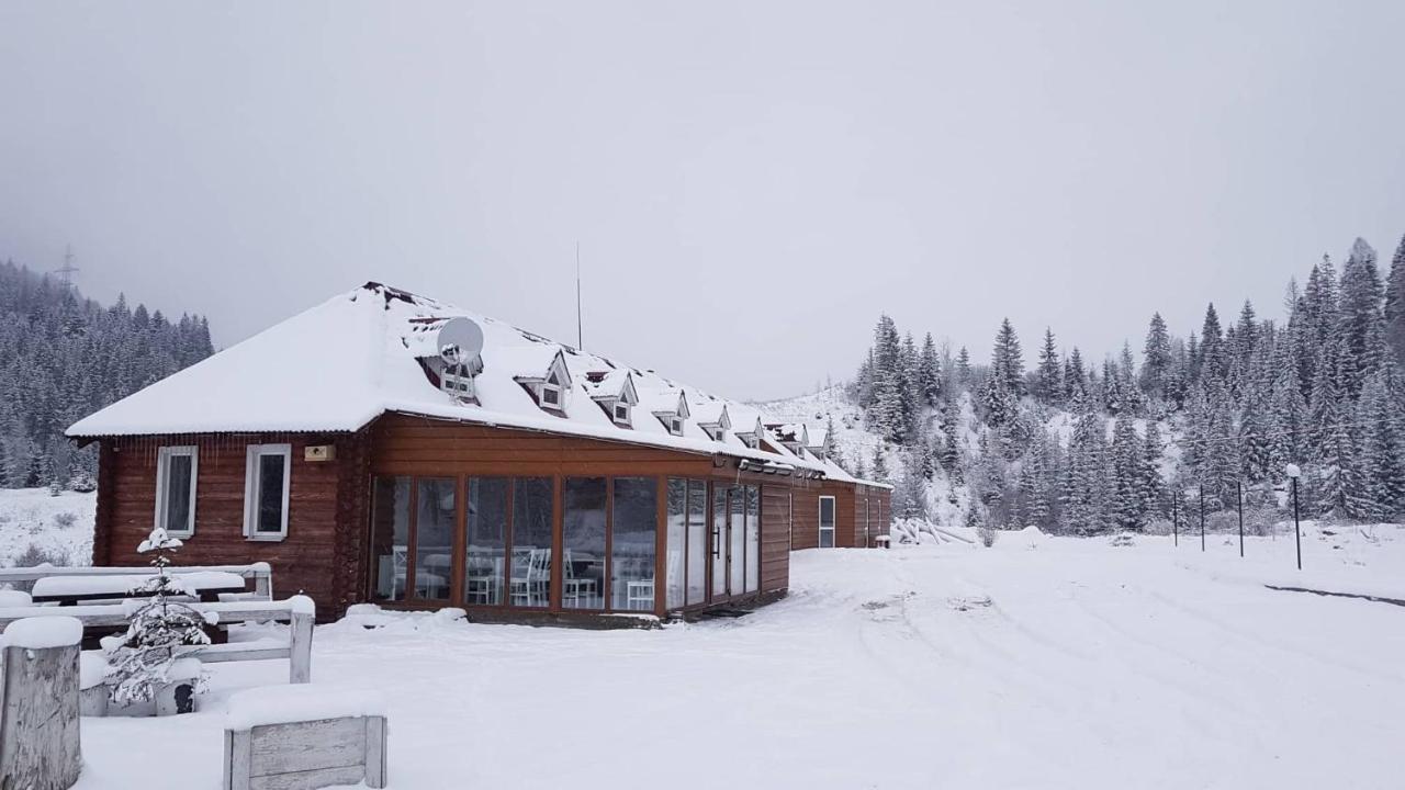 Dream Forest Lodge *